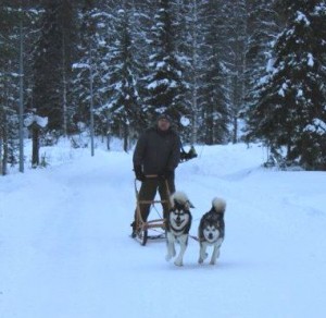 Salla joulukuu 2011