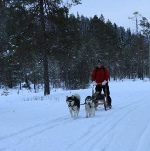 Salla joulukuu 2011