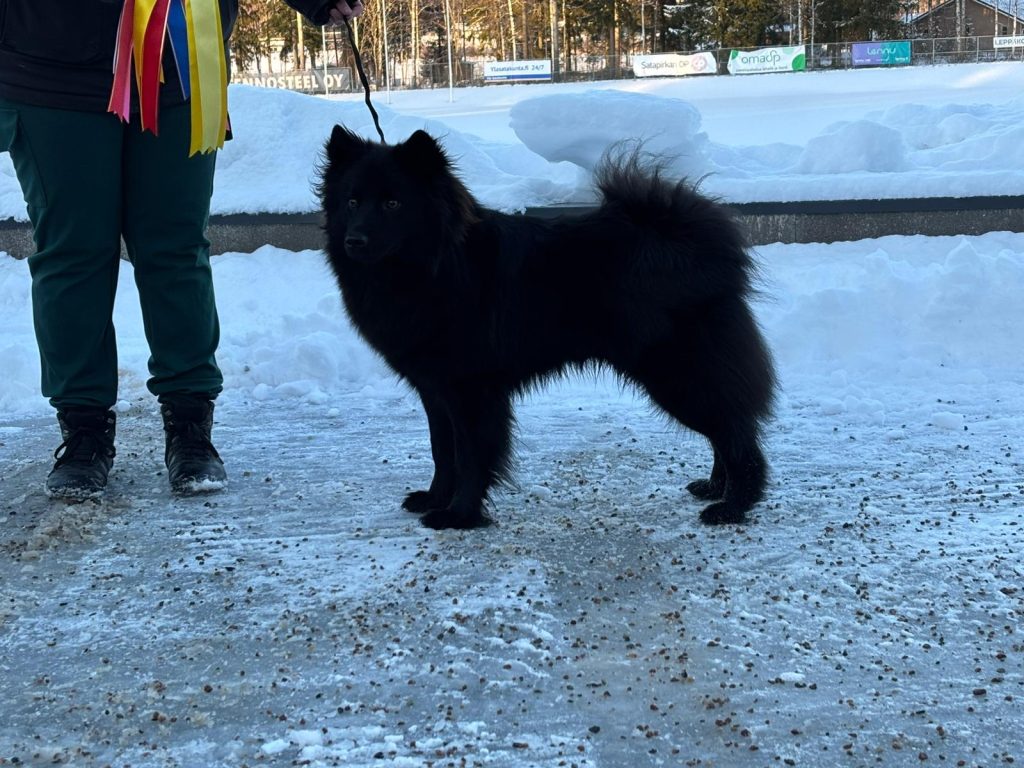 Räme 1v