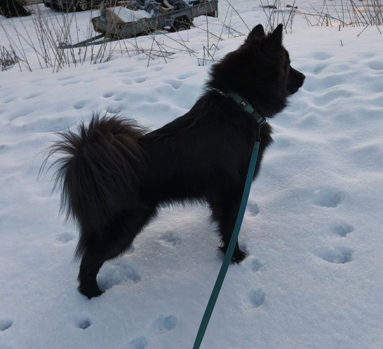 Ataciara Walking in Rhythm