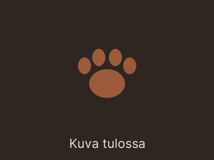 Kuva tulossa